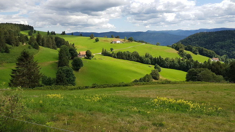 La Bresse été : www.petitecaille.fr